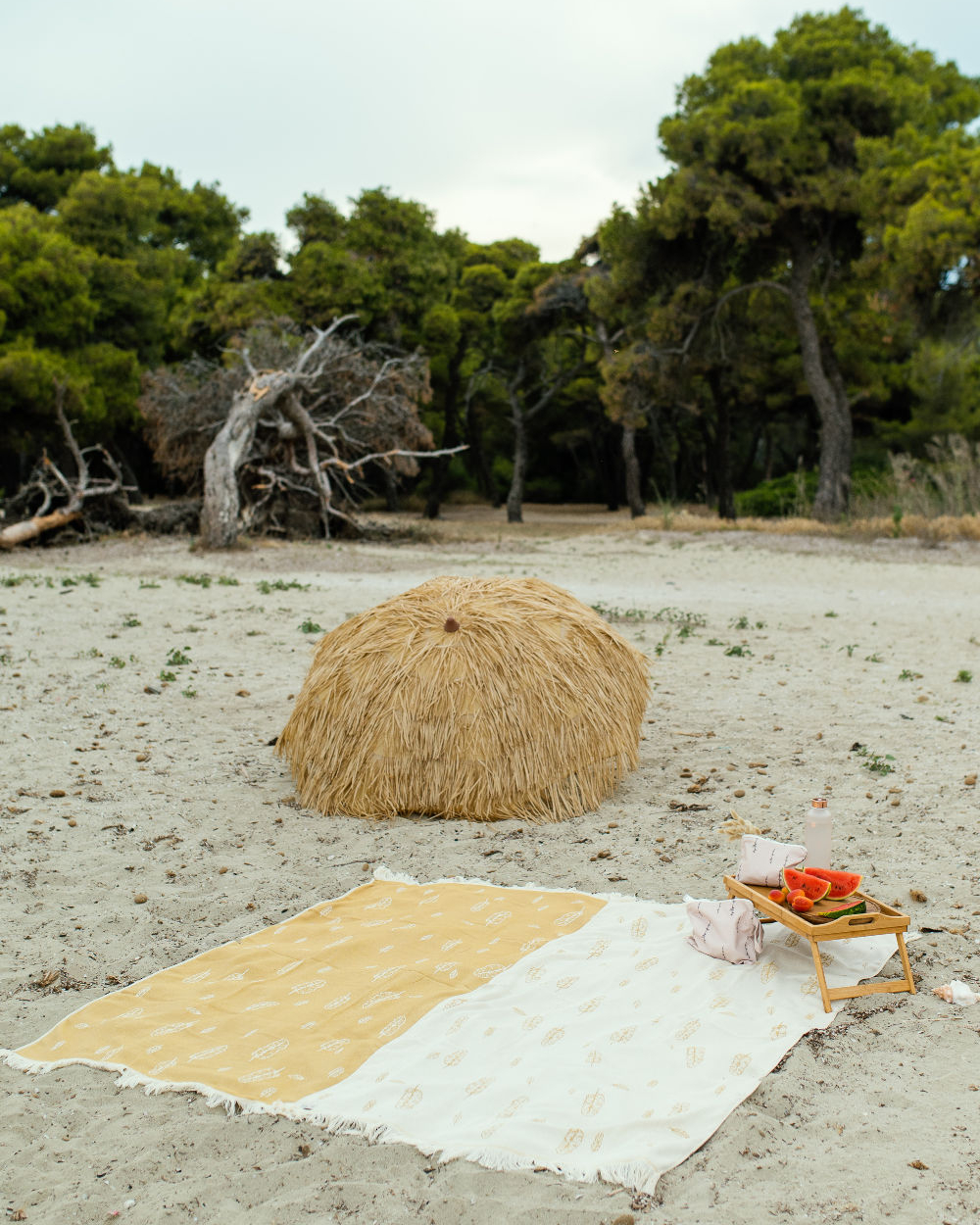 LEAVES ΠΕΤΣΕΤΑ ΠΑΡΕΟ